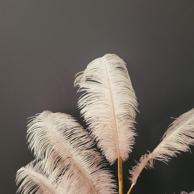 Light en Living Ornament 5 veren 129 cm FEATHER licht oud roze