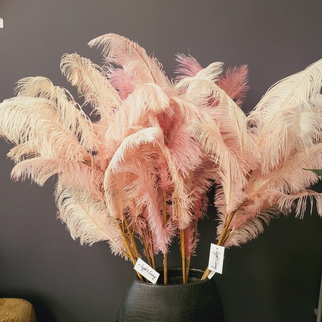 Light en Living Ornament 5 veren 129 cm FEATHER licht oud roze
