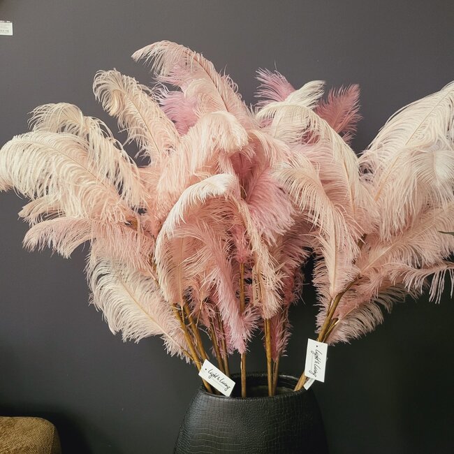 Light en Living Ornament 5 veren 129 cm FEATHER licht oud roze