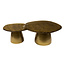 WoonStijl Salontafel set van 2 Eclipse goud antiek finish