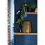 Light en Living Hurricane ADETA Goud medium