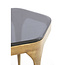 Light en Living Bijzettafel Set van 2 max 50x45,5x50 cm AVI glas smoke+antiek brons