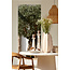 Light en Living Schaal 44x43,5x7 cm ANZIO crème