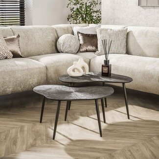 WoonStijl Salontafel set van 2 leaf Brown Ray Metal WoonStijl Salontafel set van 2 leaf Brown Ray Metal