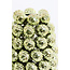 Light en Living Vaas deco Ø16x24,5 cm BUTANG keramiek metallic licht groen