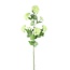 PTMD Kunsttak Hydrangea Flower groen snowball
