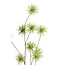 Light en Living Kunsttak 123X25X5 cm Gentian Groen