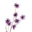 Light en Living Kunsttak 123X25X5 cm GENTIAN Paars