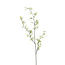 Light en Living Kunsttak 110X20X5 Cm GYPSOFILA groen-creme