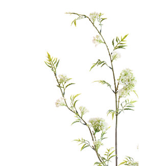 Light en Living Kunsttak 110X20X5 Cm GYPSOFILA groen-creme