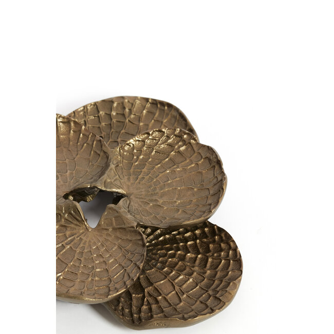 Light en Living Wandornament 39X38X6 cm SOLASSI goud