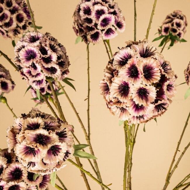 PTMD Kunsttak Garden Flower roze scabiosa