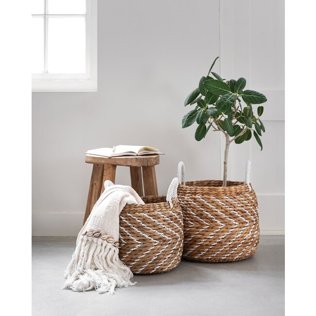 MUST Living Mandenset Carlos