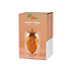 Balvi Seed grower Acorn vaas bruin