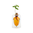 Balvi Seed grower Acorn vaas bruin