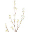 Light en Living Kunsttak 122x30x5 cm SPIRACEA creme