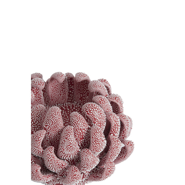 Light en Living Theelicht Ø10,5x7,5 cm SERINA porselein rood