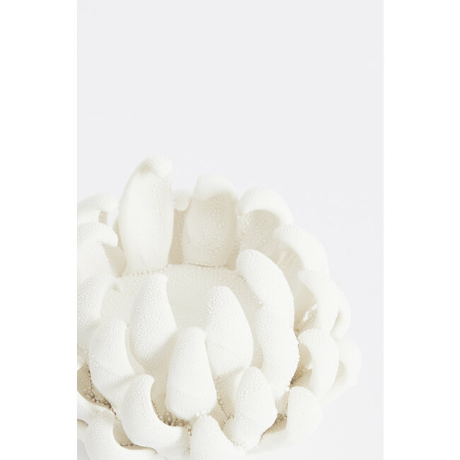 Light en Living Theelicht Ø10,5x7,5 cm SERINA porselein crème