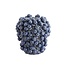 Light en Living Vaas deco Ø20X22,5 cm BERRIES keramiek donkerblauw