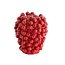 Light en Living Vaas deco Ø15X17,5 cm BERRIES keramiek rood