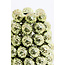 Light en Living Vaas deco Ø18,5x28 cm BUTANG keramiek metallic licht groen