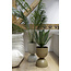 Present Time Plantenpot Tonar groot mocca bruin