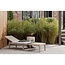 Woood Jinte ligbed tuin kunststof zand
