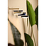 Light en Living Wandlamp LED 19x13x8,5 cm TOLIARA kobalt blauw