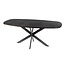 WoonStijl Eettafel 215 deens ovaal Metallic
