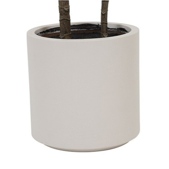 Countryfield Kunstplant in pot Pachira groen-L 25 x B 25 x H 190 CM