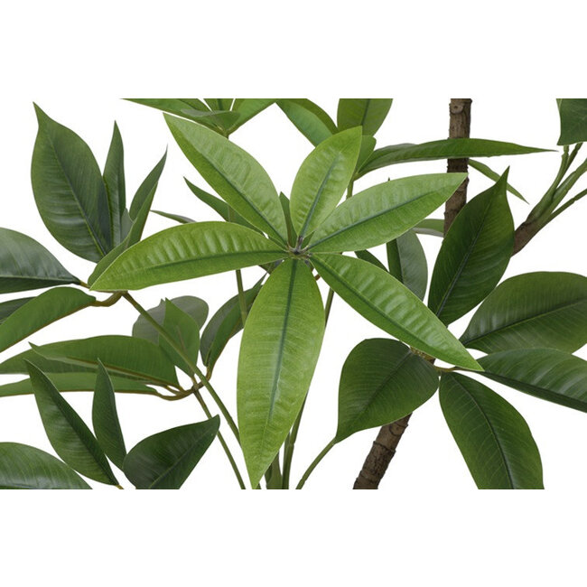 Countryfield Kunstplant in pot Pachira groen-L 25 x B 25 x H 190 CM