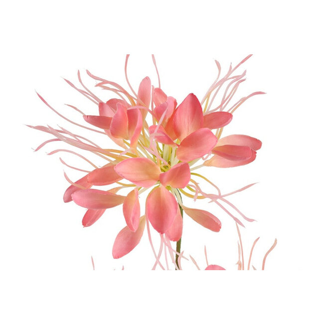 Countryfield Kunstbloem Lycoris roze - L 12 x B 8 x H 94 CM