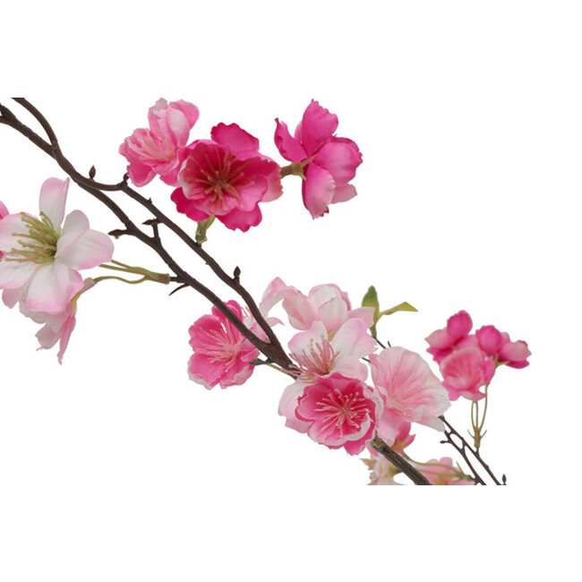 Countryfield Kunstplant Prunus M roze- L 50 x B 50 x H 185 CM