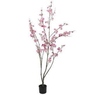 Countryfield Kunstplant Prunus M roze- L 50 x B 50 x H 185 CM Countryfield Kunstplant Prunus M roze- L 50 x B 50 x H 185 CM