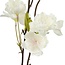 Countryfield Kunstplant Prunus M wit - L 50 x B 50 x H 185 CM