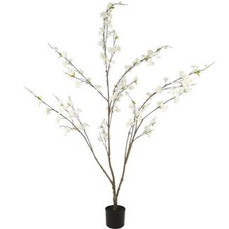 Countryfield Kunstplant Prunus M wit - L 50 x B 50 x H 185 CM