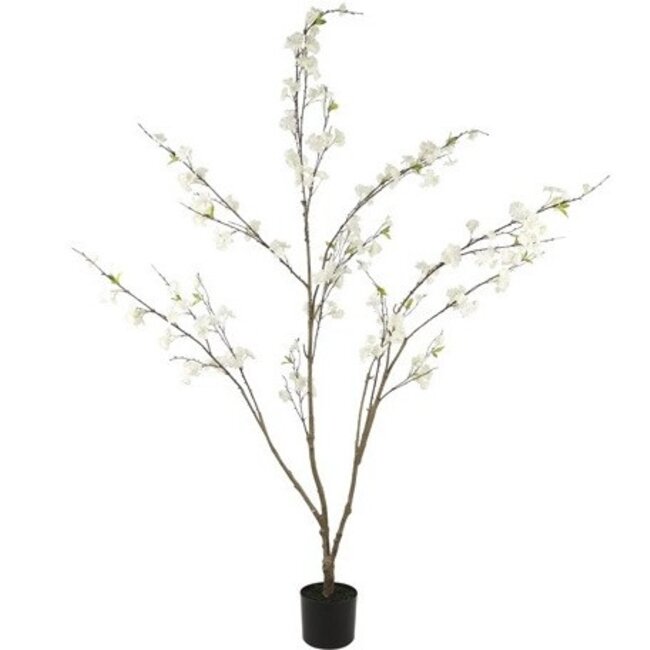Countryfield Kunstplant Prunus M wit - L 50 x B 50 x H 185 CM