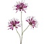 Countryfield Kunstbloem Lycoris paars - L 12 x B 8 x H 94 CM