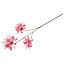 Countryfield Kunstbloem Lycoris donkerroze - L 12 x B 8 x H 94 CM