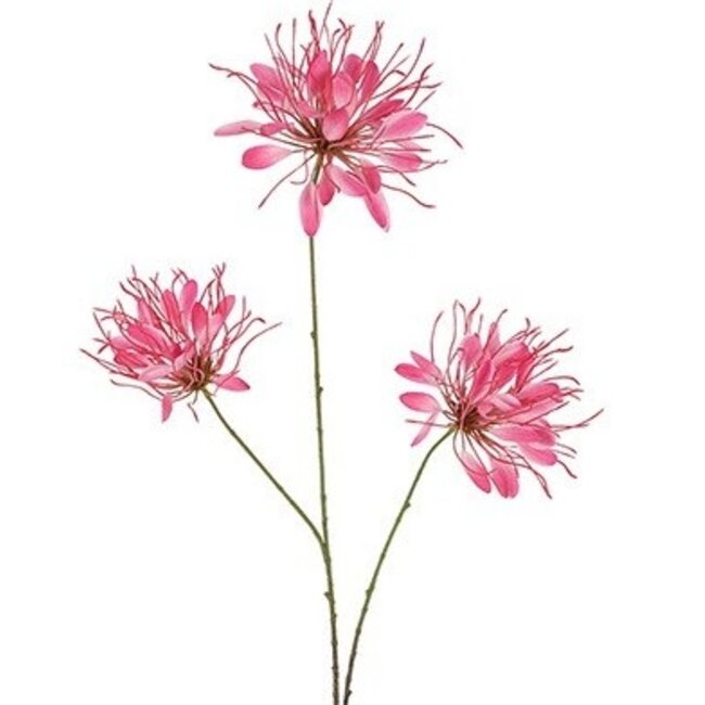 Countryfield Kunstbloem Lycoris donkerroze - L 12 x B 8 x H 94 CM