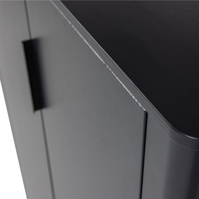 Woood Gunnar 2-Deurs Kast Grenen Matzwart [fsc]