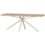 Woood Tablo Eettafel Deens Ovaal Vj 220x100 Cm Transparant [fsc]