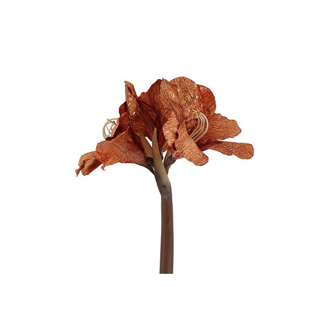 Countryfield Kunstbloem Amaryllis bruin