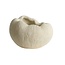 Light en Living Vaas deco 52,5x42,5x34 cm DENISA crème
