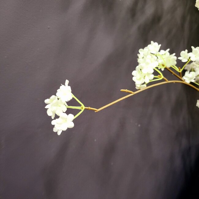 Light en Living Kunsttak 122x30x5 cm SPIRACEA creme