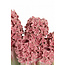 Light en Living Vaas deco 35x21x28 cm FLOWER keramiek roze+groen