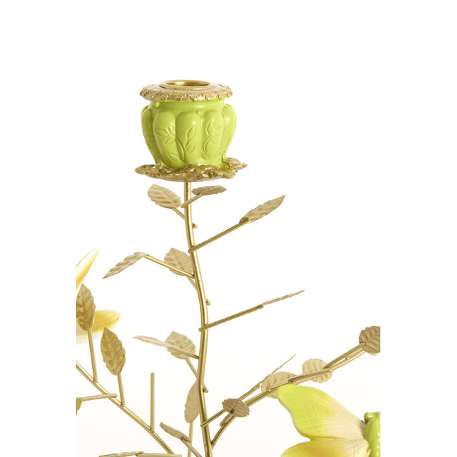 Light en Living Kandelaar 35,5x18x37,5 cm BUTTERFLY lichtgroen+lichtgoud