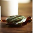 Light en Living Ornament 19x16x7 cm TURTLE glas amber+groen