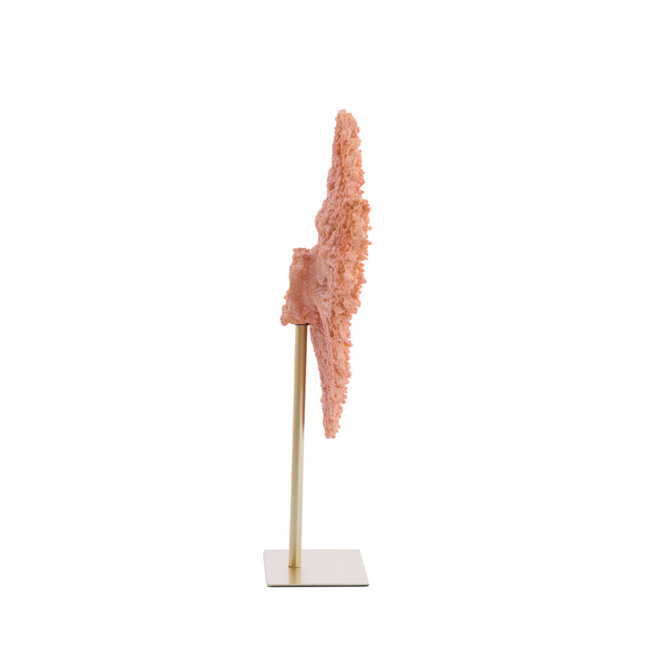 Light en Living Ornament op voet 37x31x61,5 cm CORAL koraal+antiek brons