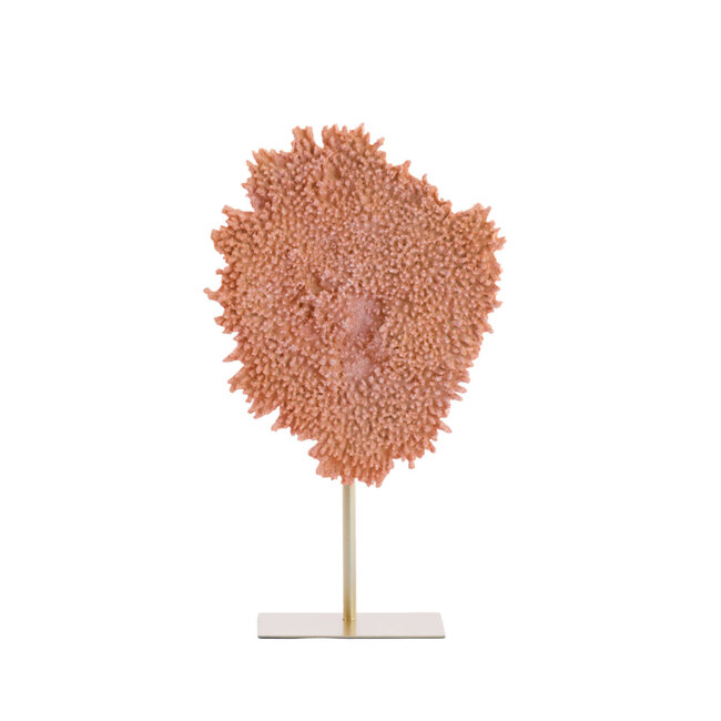 Light en Living Ornament op voet 37x31x61,5 cm CORAL koraal+antiek brons